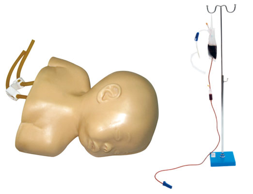 高級嬰兒頭部靜脈穿刺訓練示教模型