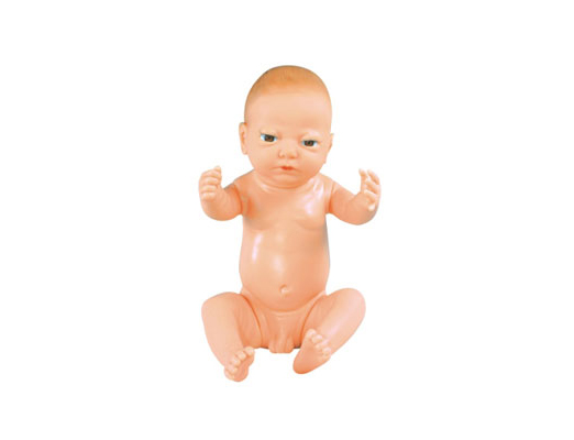 高級滿月嬰兒模型(男嬰\女嬰任選，重量4000克)